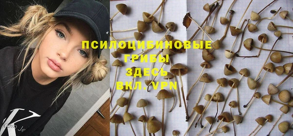 apvp Алексеевка