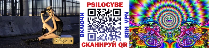 продажа наркотиков Ачинск Галлюциногенные грибы Psilocybine cubensis