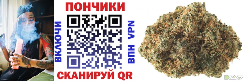 хочу   darknet формула  Бошки Шишки план  Ачинск 